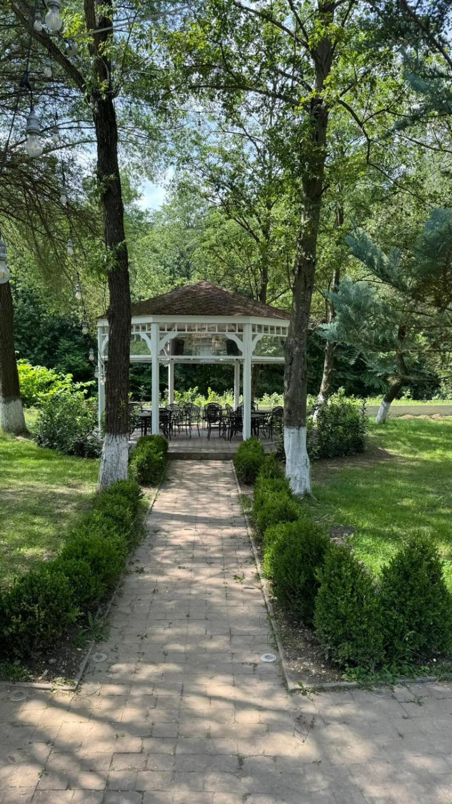 Marabou Resort براشوف المظهر الخارجي الصورة